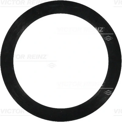 Seal Ring